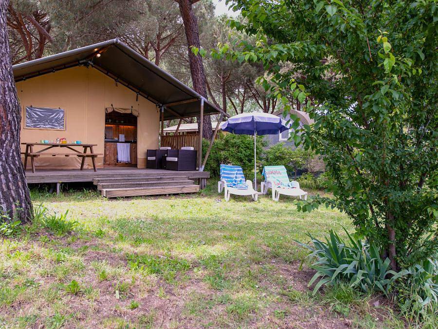 Camping Punta Navaccia  - Tent 4 persons - Safari Lodge in Tuoro sul Trasimeno, Lake Trasimeno