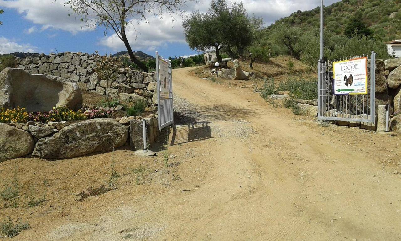 Double Room in Orgosolo, Barbagia