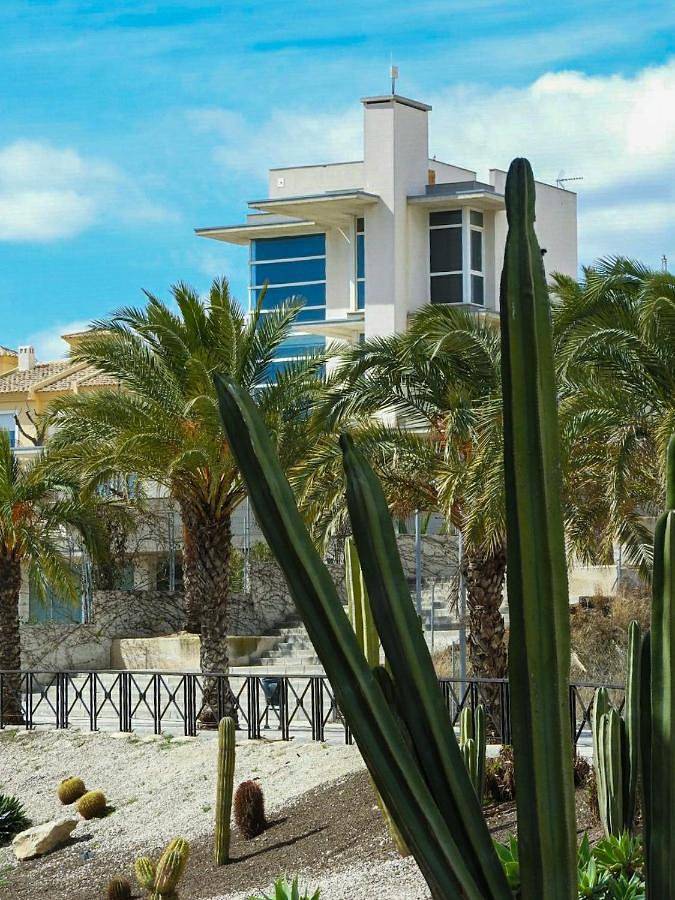 Gîte pour 3 personnes, avec vue et jardin à Monforte del Cid - 2