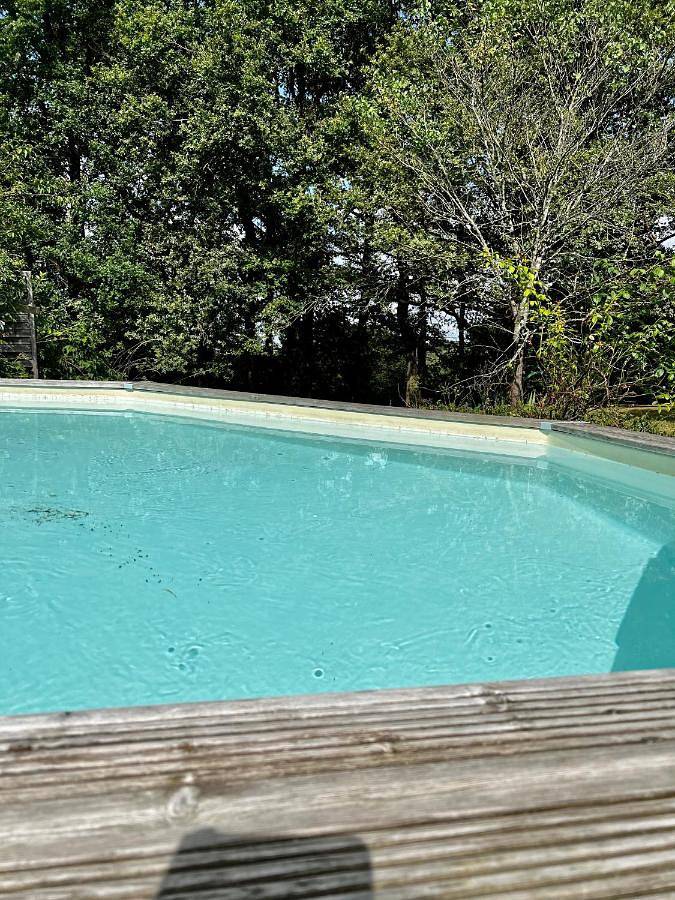 Location de vacances pour 6 personnes, avec jardin et piscine à Chantonnay - 3