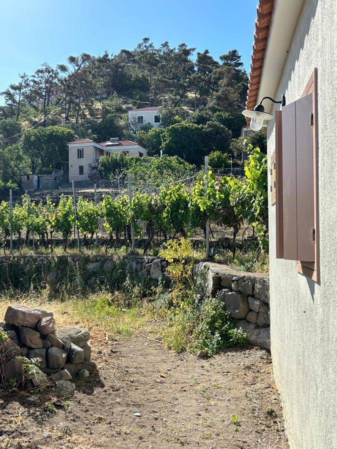 Location de vacances pour 6 personnes, avec jardin dans Σκάλα Ερεσού - 4