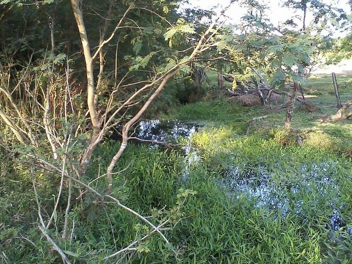 Maison de vacances pour 15 personnes, avec balcon ainsi que jardin et jacuzzi, animaux acceptés dans le Sud-Est (Brésil)