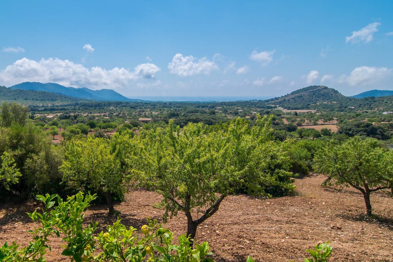 Lichtdurchflutetes Ferienhaus "Finca Es Serva" mit Garten, Pool in Son Servera, Mallorca Osten