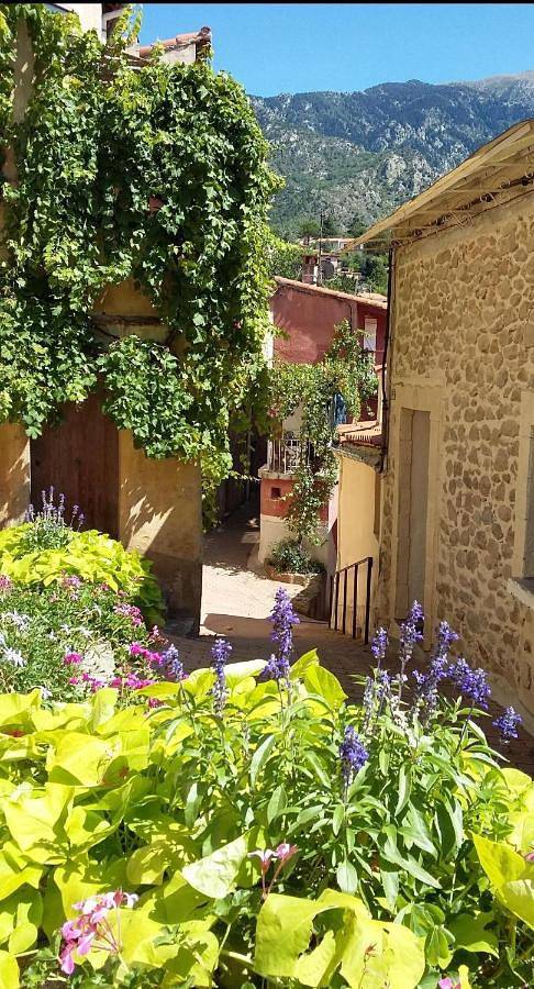 Location de vacances pour 2 personnes, avec Balcon ainsi que Terrasse et Vue dans Office De Tourisme De Vernet Les Bains - 2