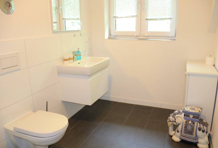 Ganze Ferienwohnung, Haus Belchenwiese die Wohnung Talblick in Neuenweg, Kleines Wiesental