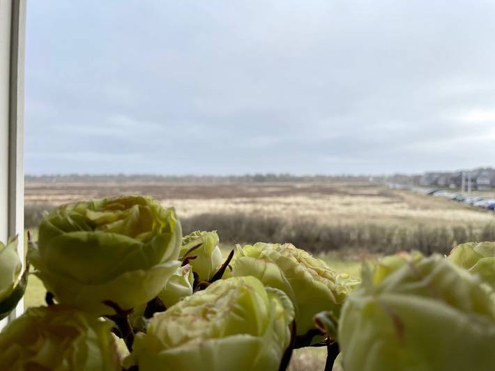 Ferienwohnung für 3 Personen in Kampen (Sylt) - 4