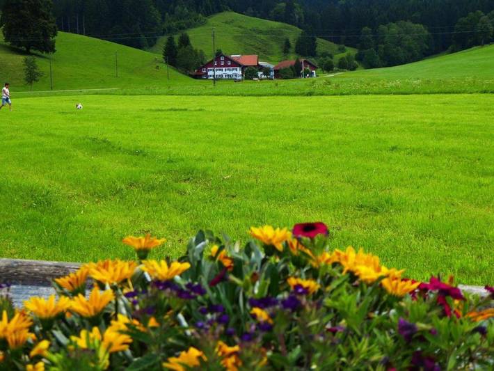 Ferienwohnung für 9 Personen, mit Garten und Ausblick in Weitnau - 2