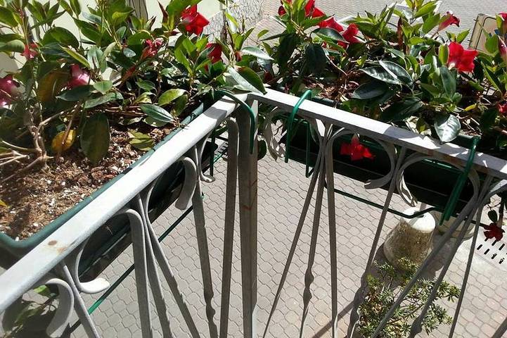 Gîte pour 4 personnes, avec balcon/terrasse et piscine à Deiva Marina - 3