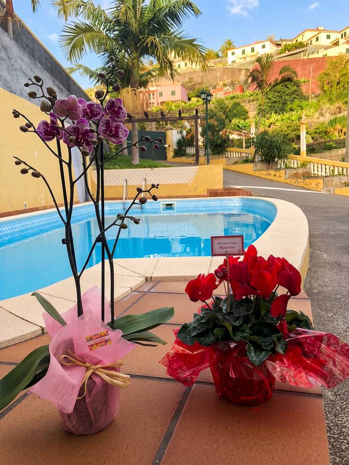 Apartamento entero, Apartamento agradable con piscina privada en Lombo Do Doutor - 50 m² in Calheta, Isla de Madeira