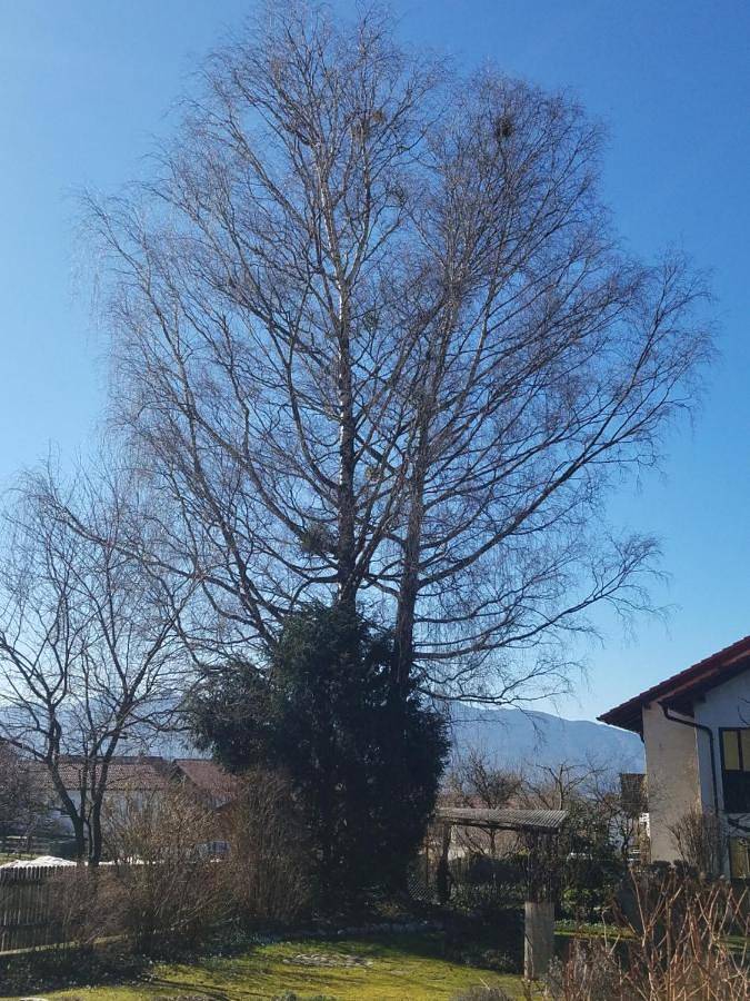 Ferienwohnung für 4 Personen, mit Terrasse und Ausblick in Ohlstadt - 4