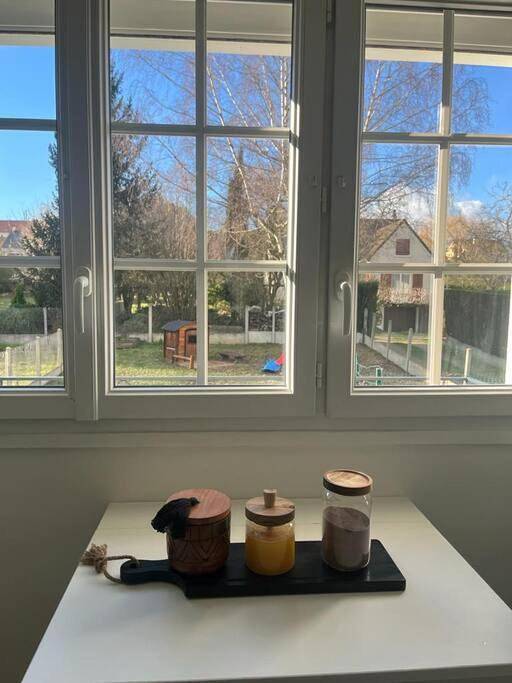 Location de vacances pour 5 personnes, avec jardin et terrasse à Bouafle - 2