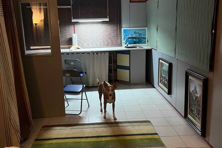 Gîte pour 6 personnes à Sabadell - 2