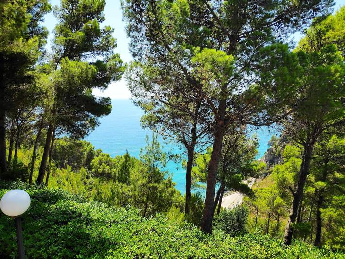 Ferienhaus für 4 Personen, mit Terrasse und Meerblick, mit Haustier in Sperlonga - 2