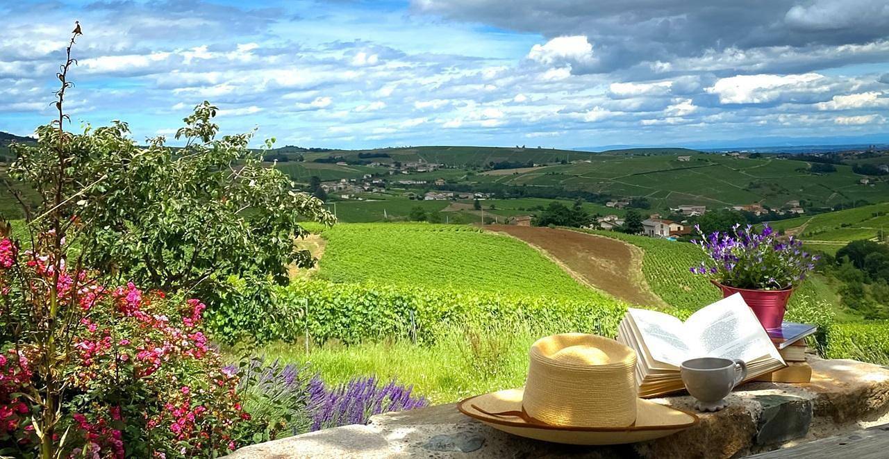 Casa de huéspedes para 12 personas con terraza in Quincié-en-Beaujolais, Villefranche-sur-Saône region