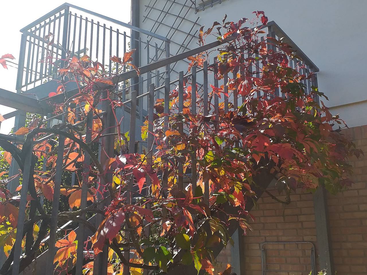 Appartamento intero, Appartamento casa derrico in Marina di Pietrasanta, Pietrasanta