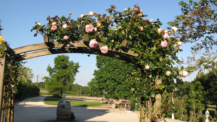 Gîte pour 4 personnes, avec piscine ainsi que jardin et terrasse à Saint-Aignan - 3