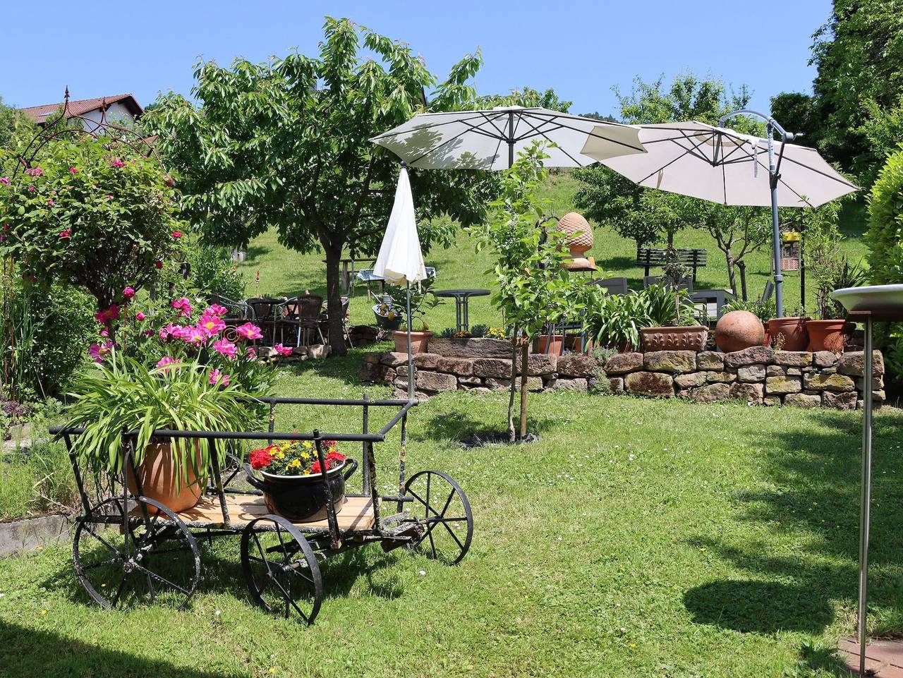 Ganze Ferienwohnung, Fewo Odenwald - Marie - Fewo Odenwald - Marie in Breuberg, Main-Odenwald