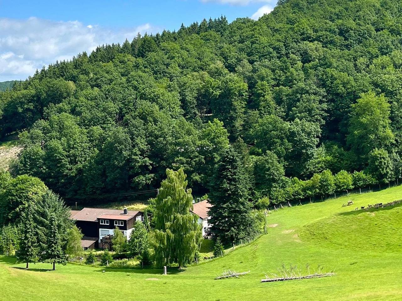 Ganze Wohnung, Ferienwohnung im Grünen – Sauerland pur in Lennestadt, Sauerland