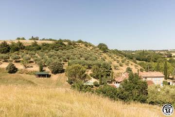 Gîte pour 4 Personnes dans Lauragais, Haute-Garonne, Photo 2