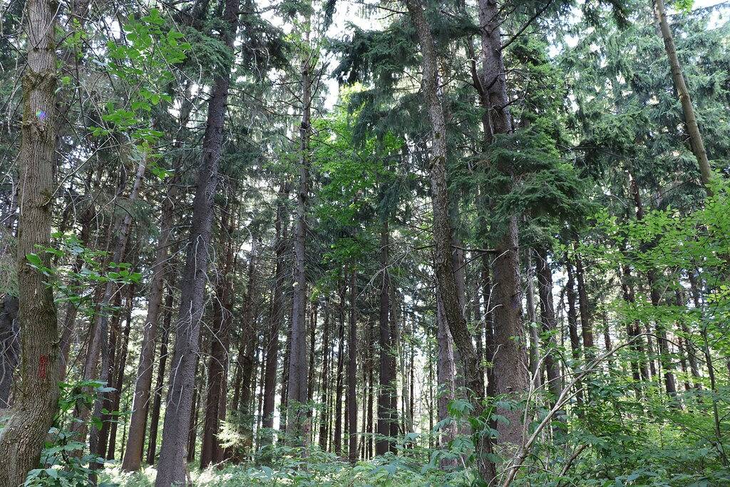 Luxury 3 Bedroom Hidden Valley Retreat mit Lake & Slope Ansichten in Hidden Valley, Pennsylvania