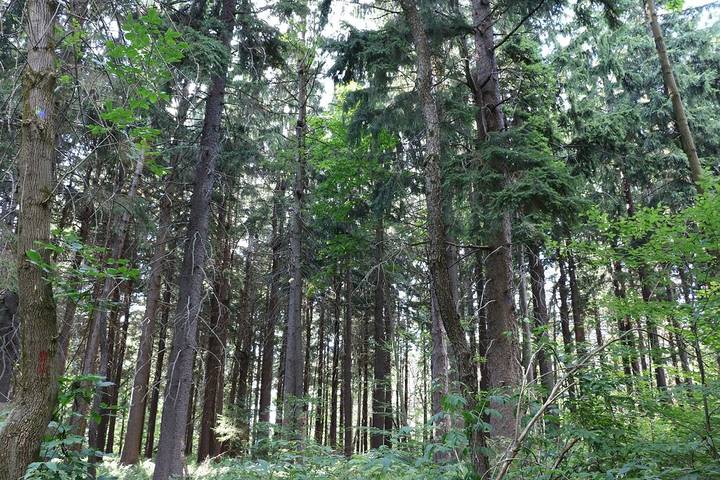Ferienhaus für 9 Personen, mit Terrasse und Pool - 1