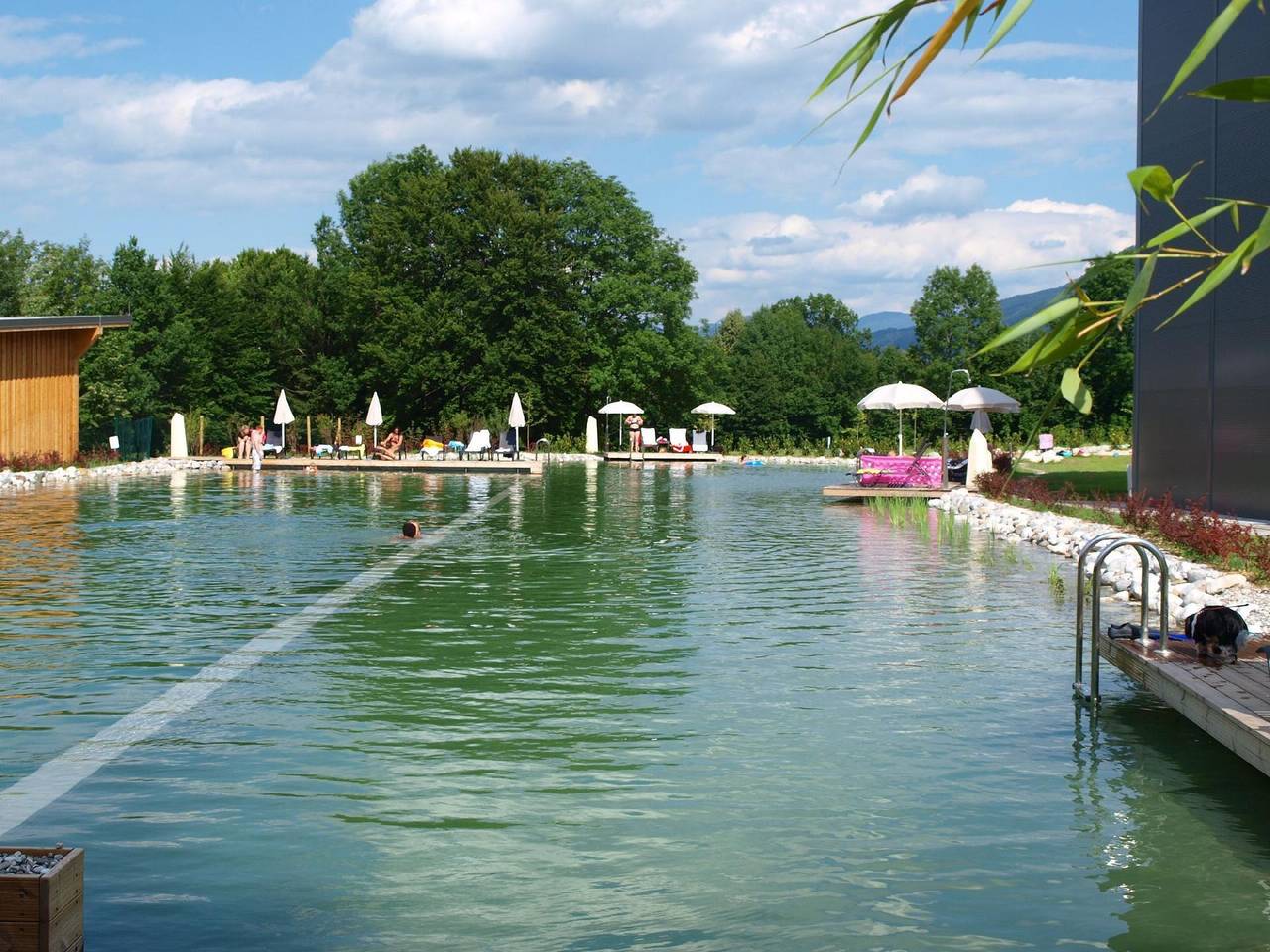 Ganze Ferienwohnung, Ferienwohnung Esche im Naturerlebnisdorf Rosental in Karawanken und Bachergebirge, Feistritz im Rosental
