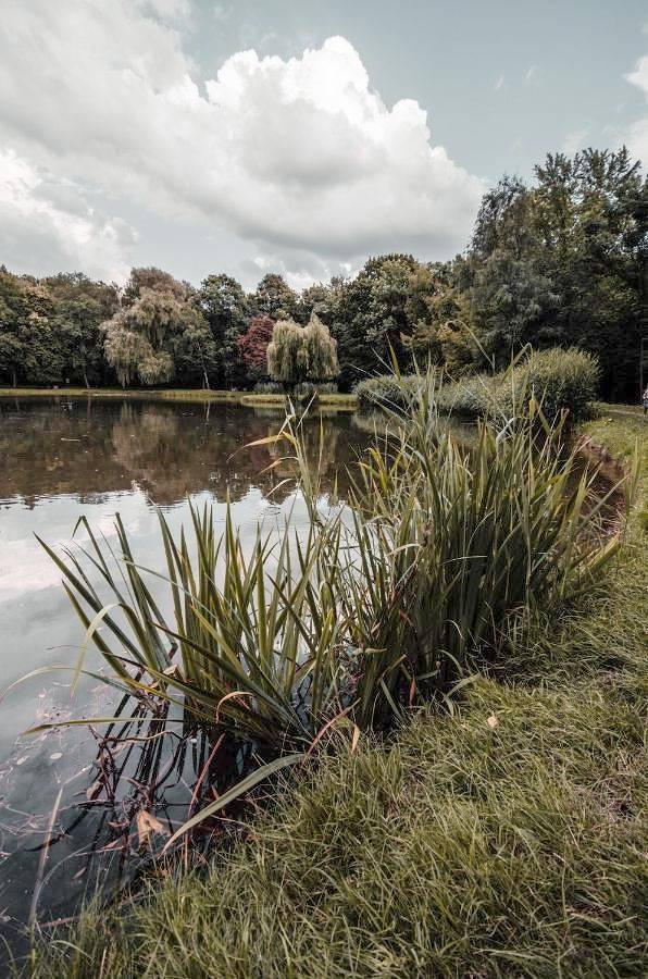Cały apartament, Apartament Deluxe Arcon in Siemianowice Śląskie, Śląsk