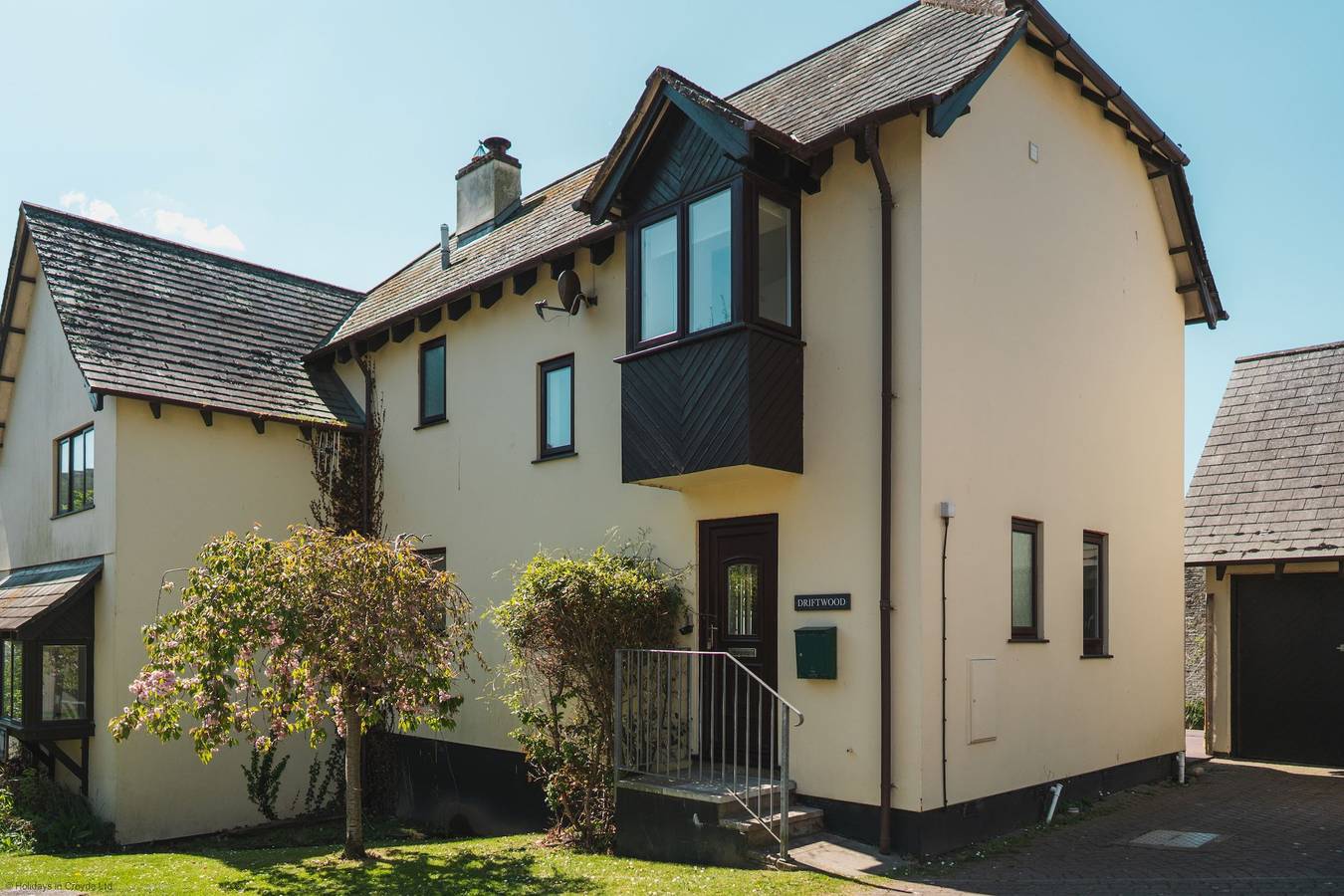 Driftwood  in Croyde, Devon