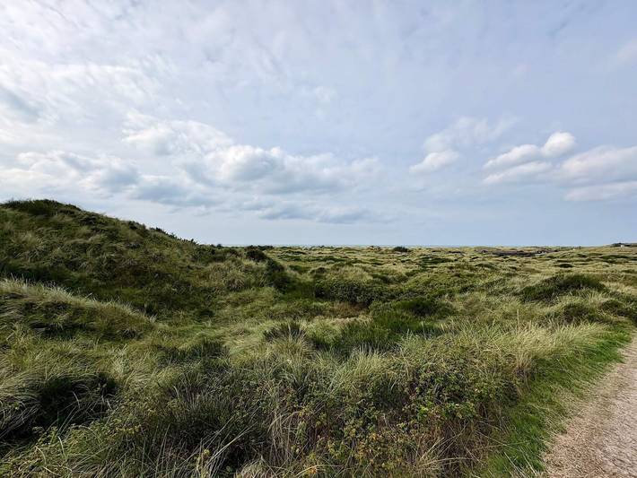 Ferienhaus für 6 Personen, mit Terrasse in Grønhøj Strand - 3