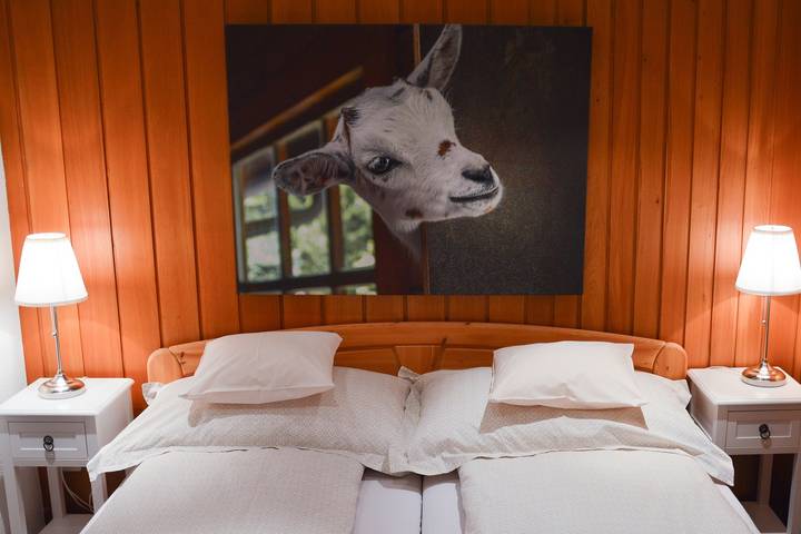 Ganze Ferienwohnung, Ferienwohnung Rothmund - 3.5 Zimmerwohnung in Pfäfers Bad, Bad Ragaz