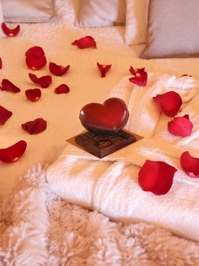 Gîte pour 2 personnes, avec sauna et jardin, animaux acceptés à Haute-Goulaine - 4