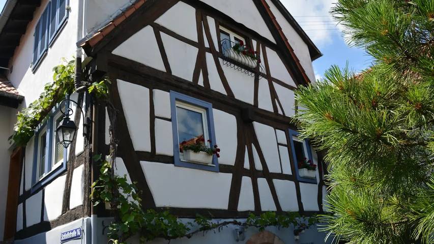 Ferienhaus für 4 Personen, mit Garten in Hambach (Neustadt)