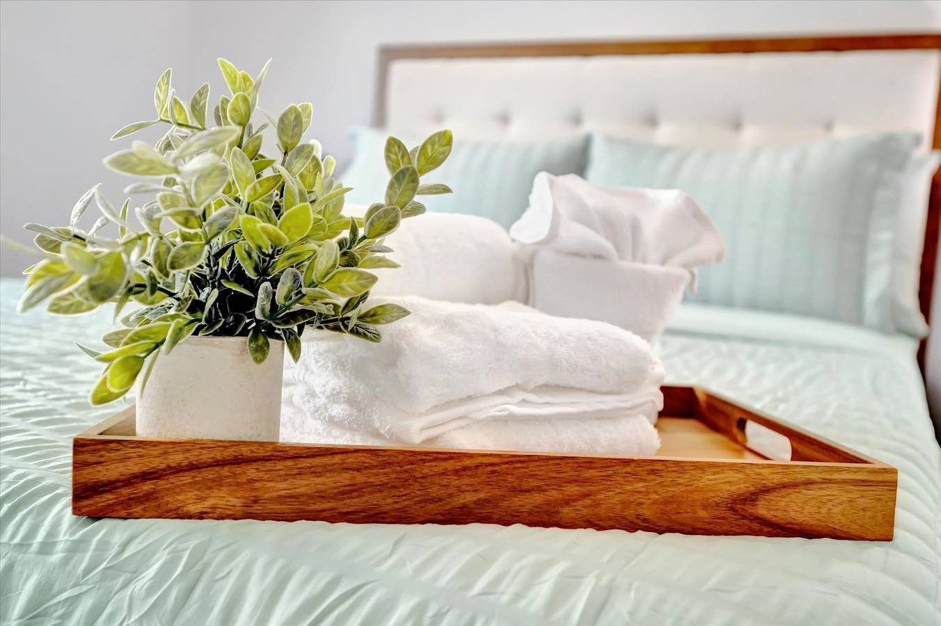 Apartamento entero, 4br3ba Modern  Sleeps 10  8 Minutes to Raymond James in Tampa, Tampa Bay