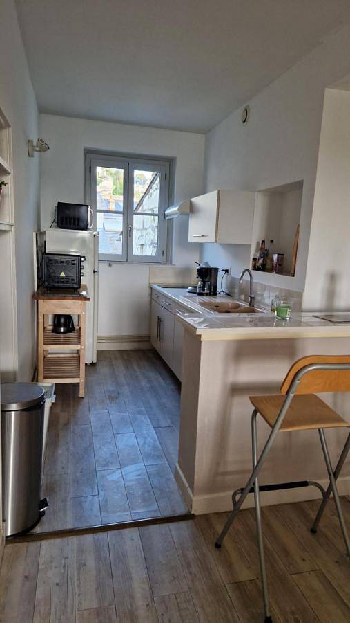 Appartement entier, Vaste appartement Le Family avec vue sur la Vienne in Chinon, Vallée de la Loire