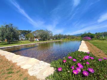 Agriturismo per 4 Persone in Roccastrada, Maremma, Foto 4