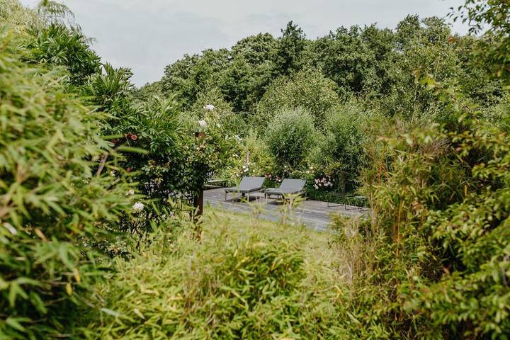 BnB für 2 Personen, mit Ausblick und Garten auf dem Darß - 4