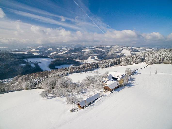 Bungalow für 7 Personen, mit Terrasse und Garten sowie Ausblick in Niederösterreich - 3
