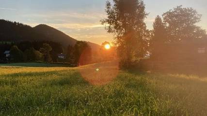 Bauernhof für 4 Personen in Ramsau am Dachstein, Ski Amadé, Bild 4