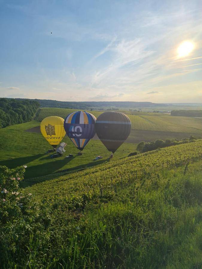 Gîte pour 6 personnes, avec jardin et vue dans Mailly-Champagne - 2