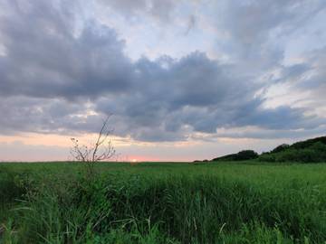 Ferienhaus für 4 Personen in Skjern, Dänemark an der Nordsee, Bild 3