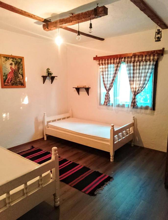Gîte pour 5 personnes, avec terrasse, animaux acceptés dans Kursumlija - 3