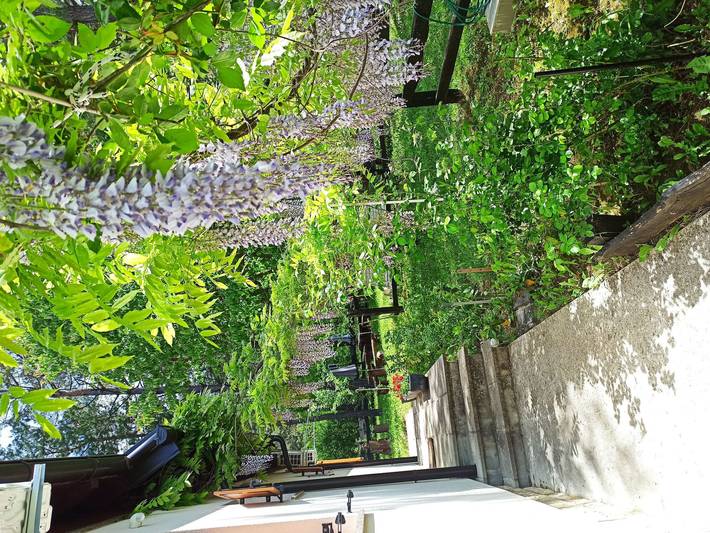 Finca am Strand für 4 Personen, mit Terrasse und Garten sowie Seeblick, mit Haustier in Kroatien - 4