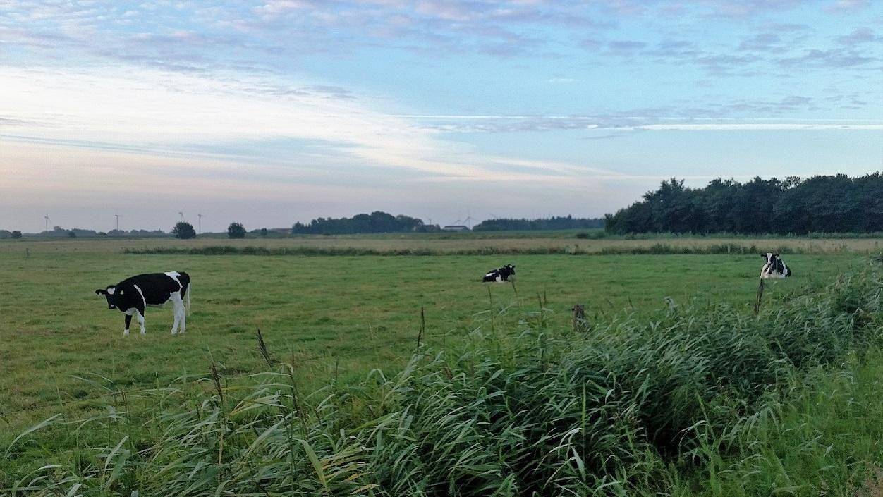 Ganze Ferienwohnung, Diek in Humptrup, Nordfriesland