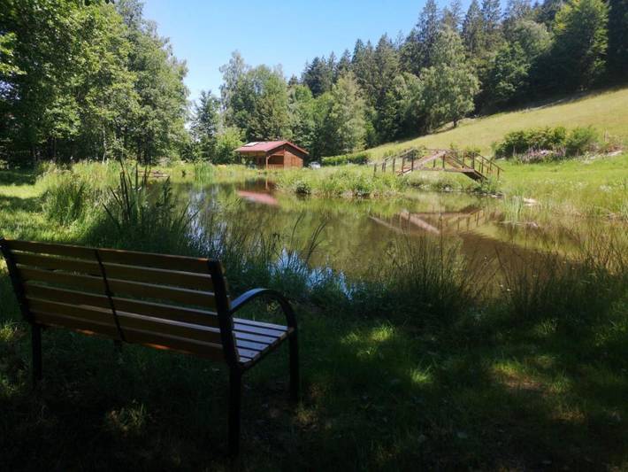 Chalet pour 8 personnes, avec jardin et terrasse ainsi que vue et piscine à Le Tholy - 3