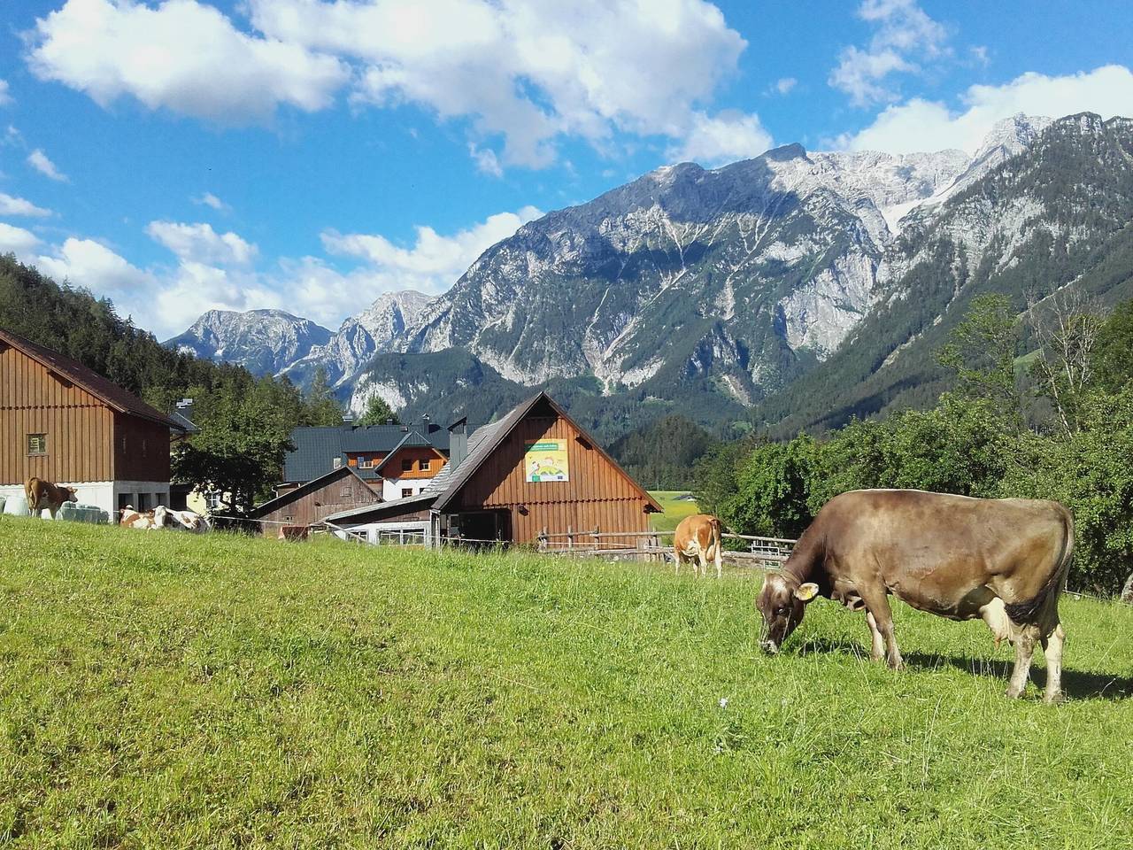 Bauernhaus für 4 Personen mit Balkon in Hinterstoder-Höss, Hinterstoder