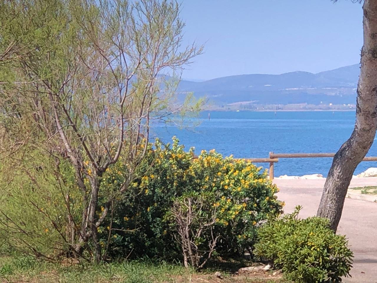 Appartamento vacanze a Le Barcarès a partire da 90€ a notte