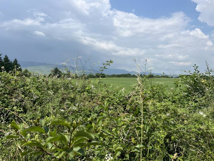 Maison de vacances pour 8 personnes, avec jardin, adapté aux familles dans Saône-et-Loire