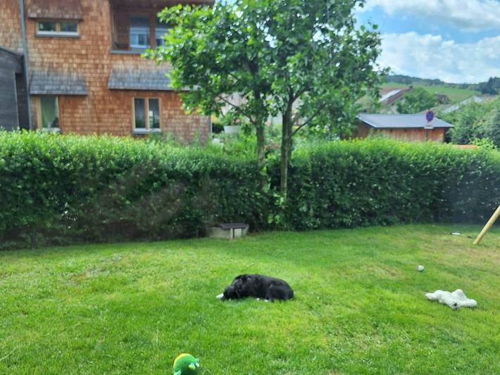 Ganze Ferienwohnung, Ernies Gartentraum in Gemeinde Mattsee, Bezirk Salzburg-Umgebung