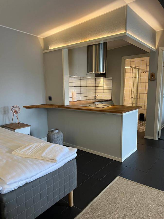 Boot für 4 Personen, mit Balkon und Whirlpool sowie Terrasse und Sauna in Schweden - 2