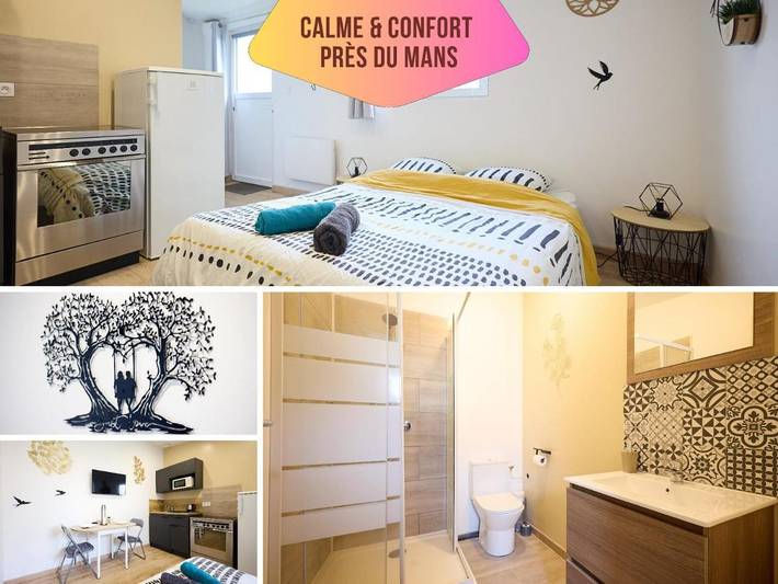 Location de vacances pour 3 personnes, avec jardin ainsi que terrasse et jacuzzi à Mulsanne - 2